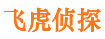 博野外遇调查取证